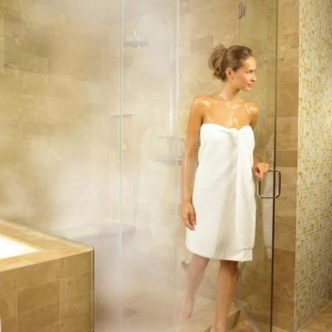 PRO Series II Advanced Steam Shower Generator, 20kW w/Fast Start and PowerFlush